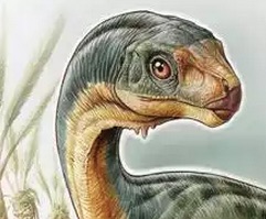 Cile scoperto nuovo dinosauro erbivoro Chilesaurus diegosuarezi